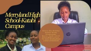 Holiday Online programs